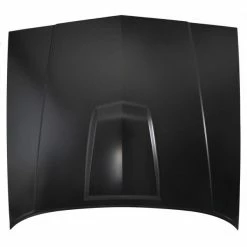 Deals 🧨 Golden Star Hood With Bulge And Turbo 1981-87 Buick Regal Grand National HO12-814 ⭐ 5 Deals 🧨 Golden Star Hood With Bulge And Turbo 1981-87 Buick Regal Grand National HO12-814 ⭐ -AMD SALES STORE p62041 2 1